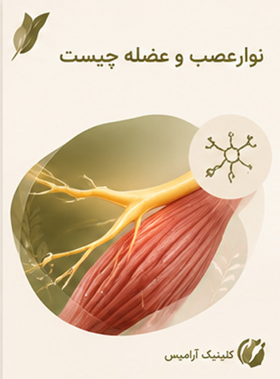 نوارعصب و عضله چیست